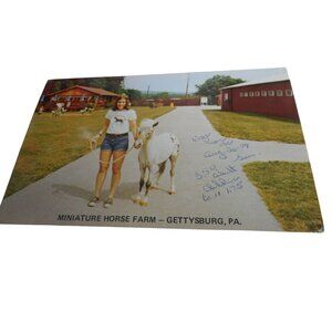 Vintage 1970s Postcard Gettysburg, PA minature horse farm Don Juan